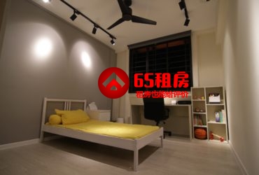 漂亮碧山组屋宽敞普通房出租