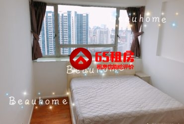 ?花拉公园近地铁站 新公寓 各类房型 !!步行3-4分钟到地铁站