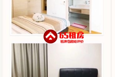 波动巴西主人房  1200 全包