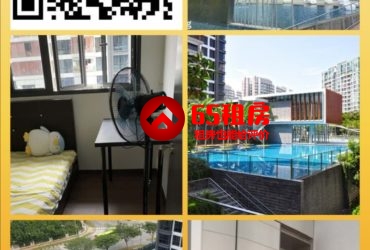 居家新公寓，普通房出租，紫线NE15万国/Buangkok MRT