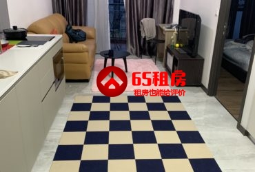 Jurong lakeside 溫暖舒適公寓出租