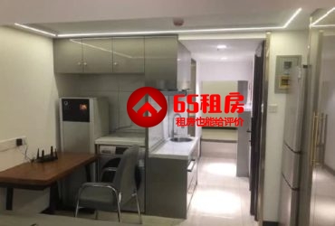 闲置公寓出租,价格打骨折