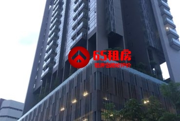 马里士他路(Balestier)公寓整套出租,无中介费,无屋主,有网络,通风而且安静